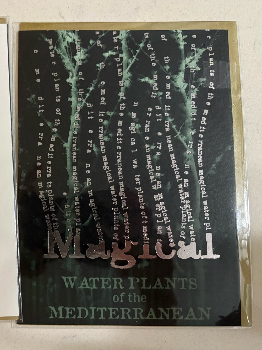 Warner Bros. Harry Potter Postcard